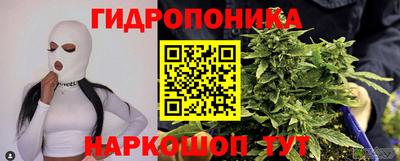 PSILOCYBIN Моздок