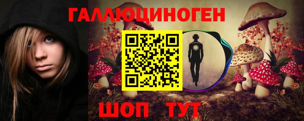 Псилоцибиновые грибы Psilocybe Алапаевск